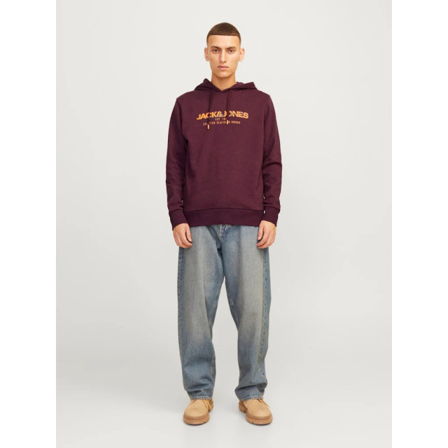 Jack & Jones Jjalvis sweat hood 12256848 large