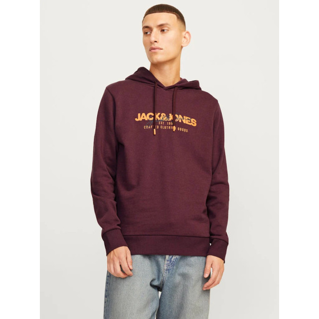 Jack & Jones Jjalvis sweat hood 12256848 large