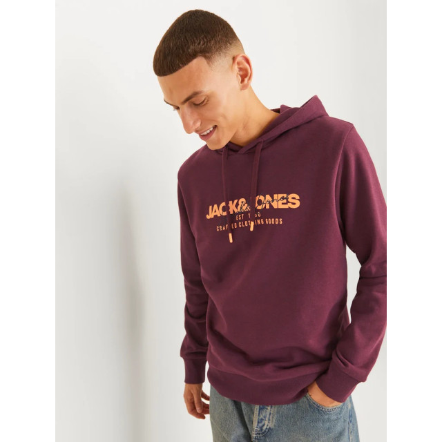 Jack & Jones Jjalvis sweat hood 12256848 large