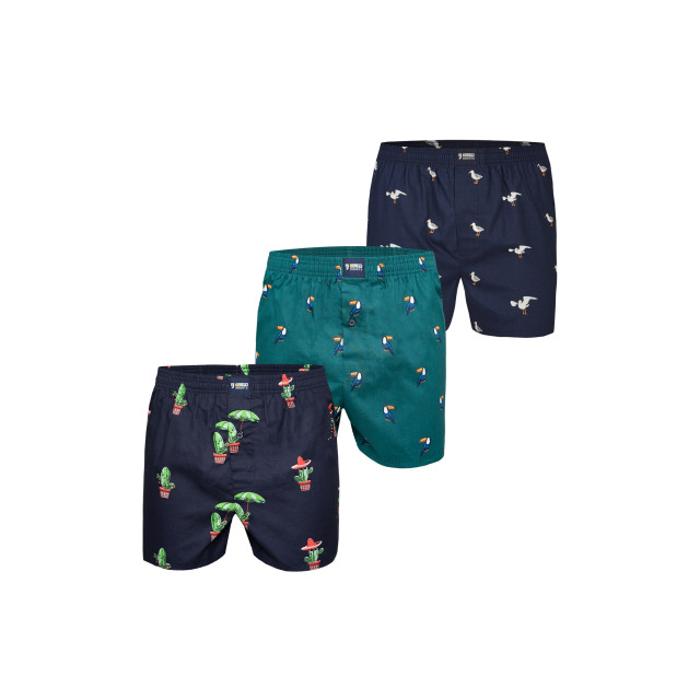 Happy Shorts X heren wijde boxershort met binnenbroek cactus/tucan groen/zeemeeuw print 3-pack HS-X-Multi-3er-D17 large