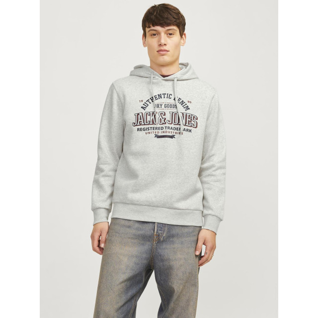 Jack & Jones Jjelogo sweat hood 2 col 24/25 noos 12255617 large