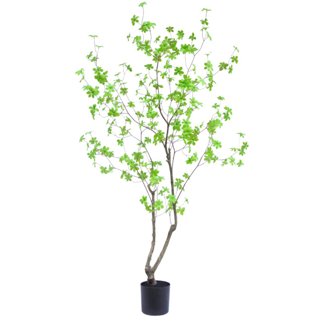 Hoyz Greenery kunstplant enkianthus 180 cm 2945842 large