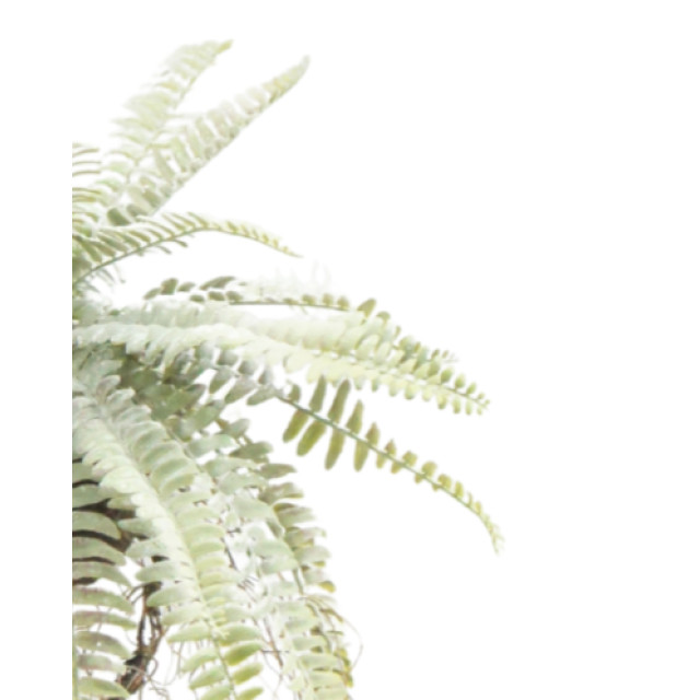 Hoyz Greenery kunst hangplant frosted varen op bal 76 cm 2945755 large