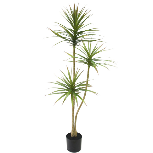 Hoyz Greenery kunstplant dracaena fragnans 150 cm 2945665 large