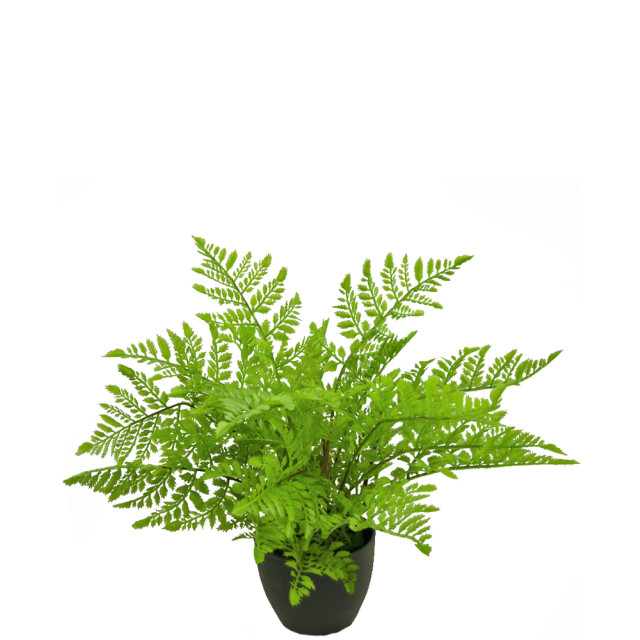 Hoyz Greenery kunst varen 35 cm in sierpot zwart 2945609 large