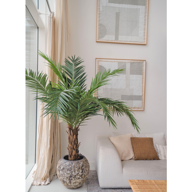 Hoyz Greenery kunstpalm phoenix canarie 160 cm 2945652 large