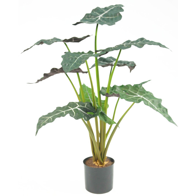 Hoyz Greenery kunstplant alocasia 67 cm 2945611 large