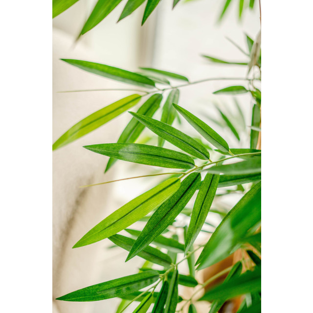 Hoyz Greenery kunstplant bamboe deluxe 150 cm 2945646 large