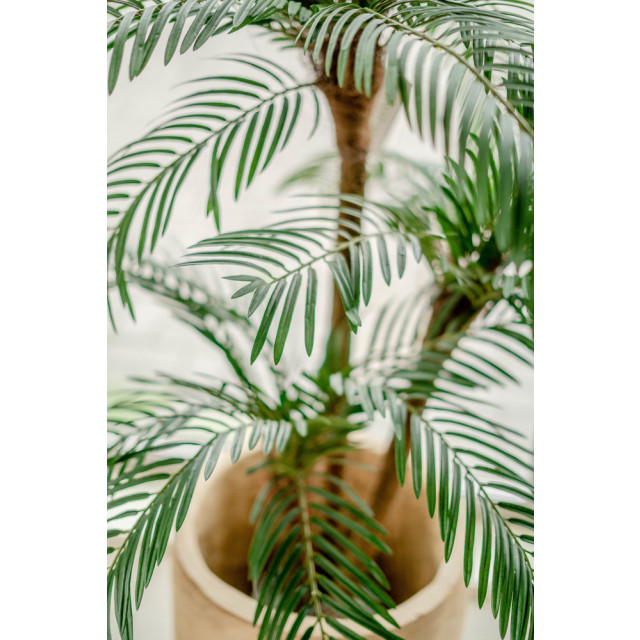 Hoyz Greenery cycas kunstpalm classic 135 cm 2945667 large