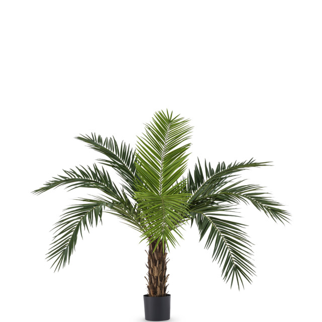 Hoyz Greenery kunstpalm phoenix canarie 160 cm 2945652 large