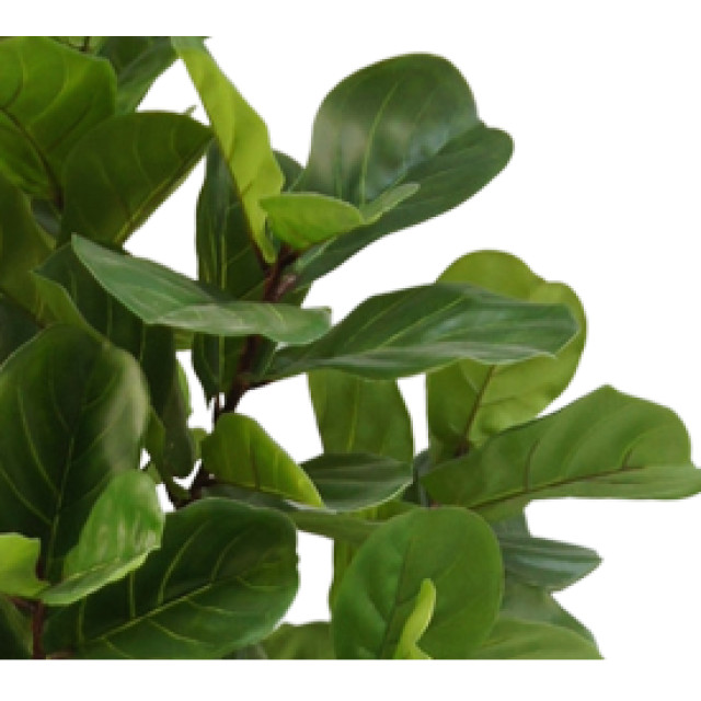 Hoyz Greenery kunstplant ficus tabaksplant 210 cm 2945713 large