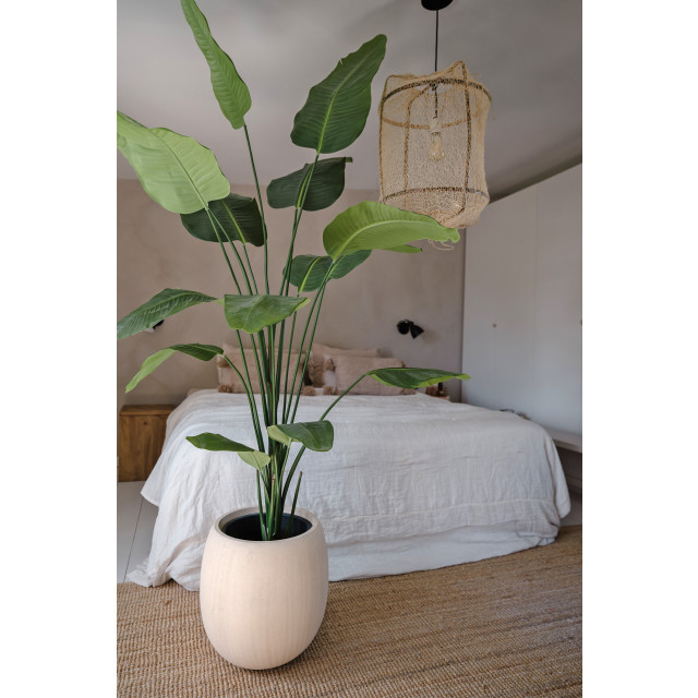 Hoyz Greenery kunstplant strelitzia 210 cm 2945719 large