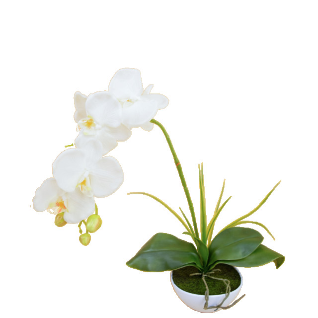 Hoyz Greenery kunst orchidee 50 cm in pot 2945678 large