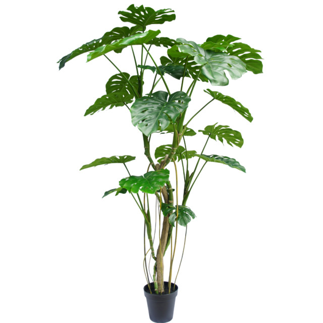 Hoyz Greenery kunstplant monstera 210 cm 2945723 large