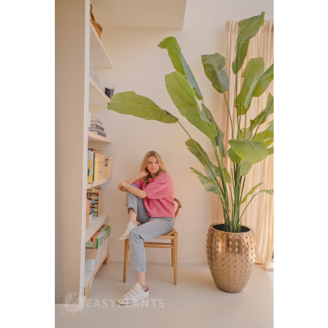 Hoyz Greenery kunstplant strelitzia nicolai 240 cm 2945619 large