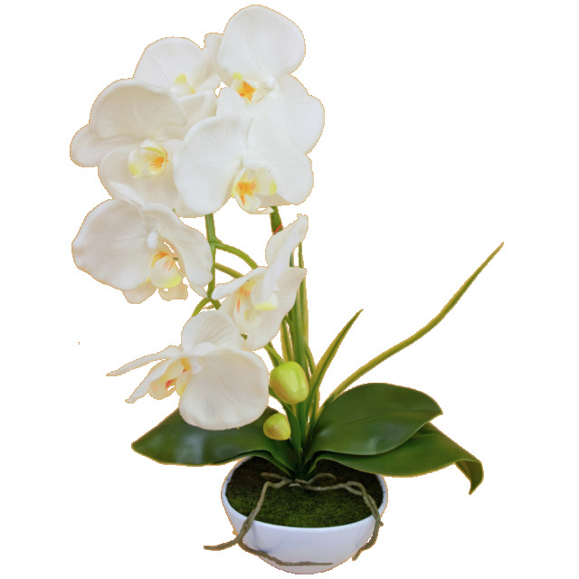 Hoyz Greenery kunst orchidee 50 cm in pot 2945678 large