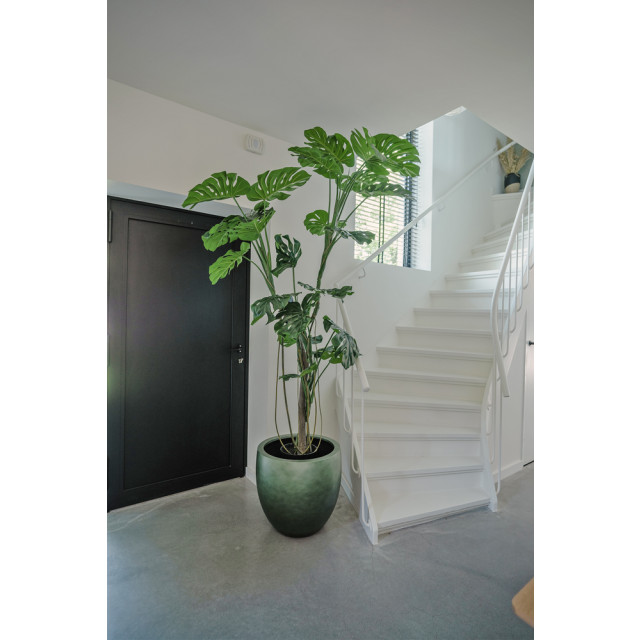 Hoyz Greenery kunstplant monstera 210 cm 2945723 large