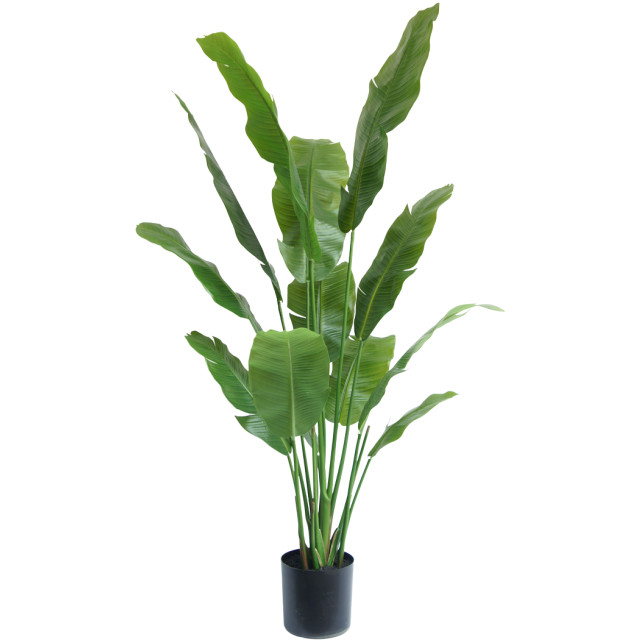 Hoyz Greenery kunstplant strelitzia nicolai 165 cm 2945691 large