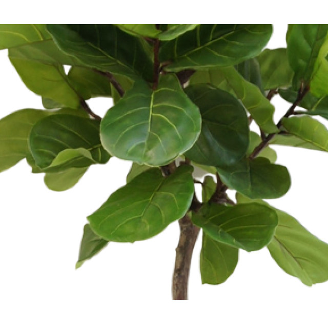 Hoyz Greenery kunstplant ficus tabaksplant 210 cm 2945713 large