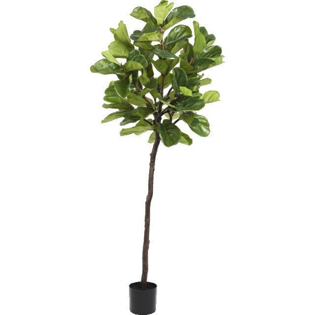 Hoyz Greenery kunstplant ficus tabaksplant 210 cm 2945713 large