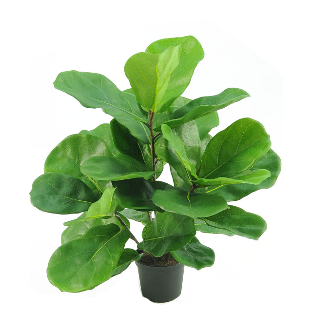 Hoyz Greenery kunstplant tabaksplant fiddle leaf 45 cm 2945754 large