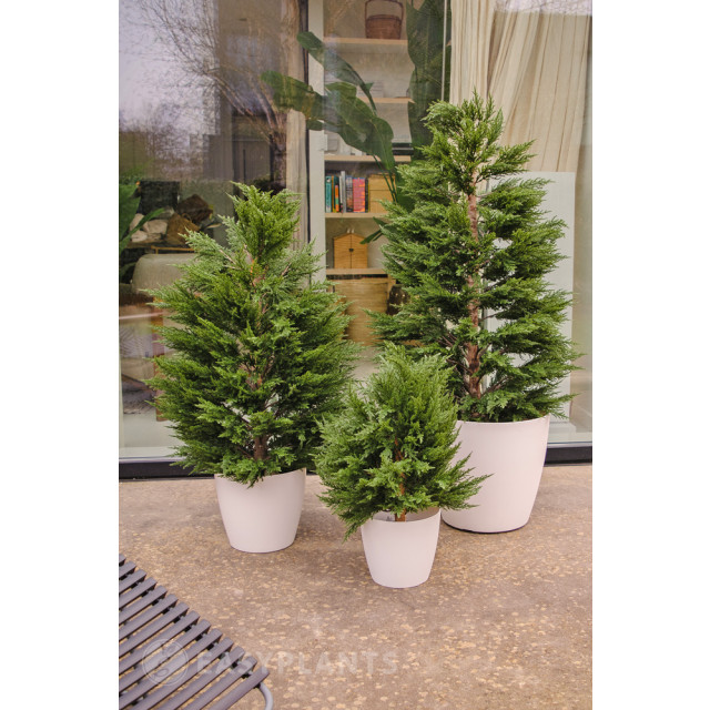 Hoyz Greenery kunstplant conifeer deluxe 120 cm uv 2945767 large