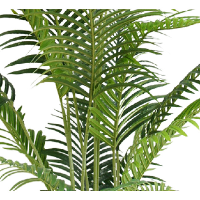 Hoyz Greenery kunstplant phoenix 200 cm 2945833 large