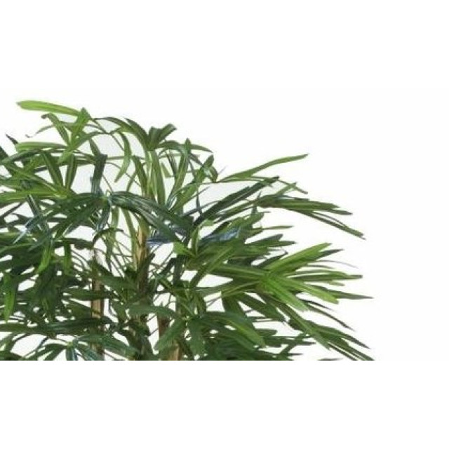 Hoyz Greenery kunstplant lady palm 150 cm brandvertragend 2945765 large