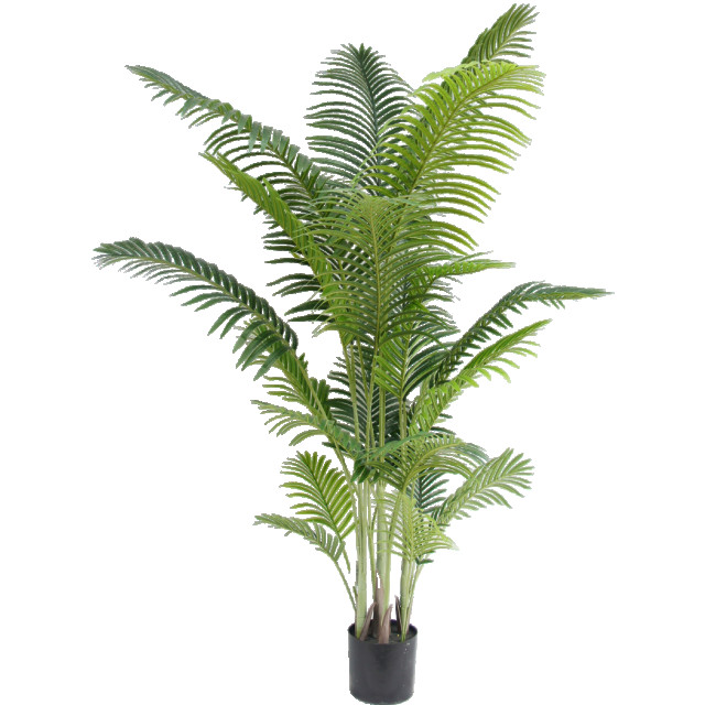 Hoyz Greenery kunstplant phoenix 200 cm 2945833 large