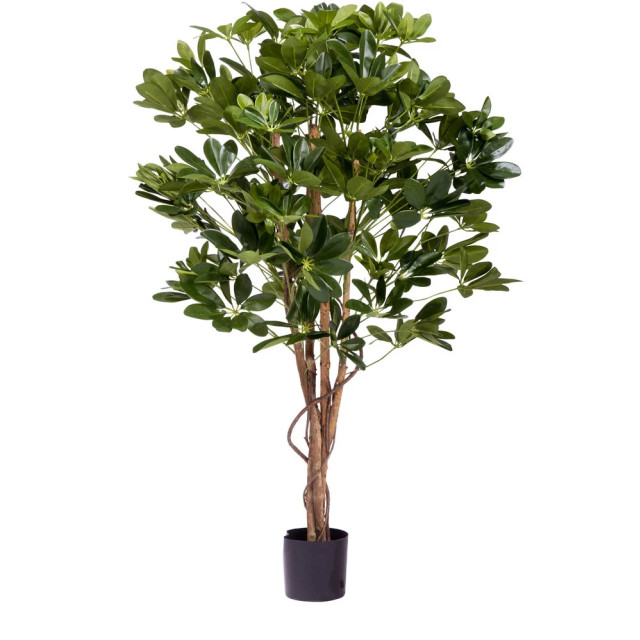 Hoyz Greenery kunstplant schefflera 120 cm. 2945780 large