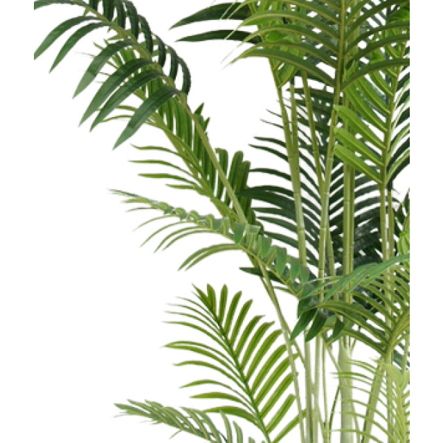 Hoyz Greenery kunstplant phoenix 200 cm 2945833 large