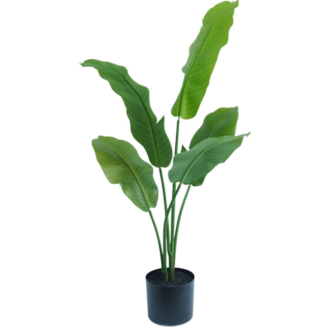 Hoyz Greenery kunstplant strelitzia nicolai 90 cm 2945804 large