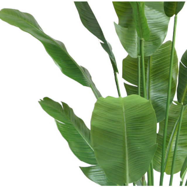 Hoyz Greenery kunstplant strelitzia nicolai 165 cm 2945691 large