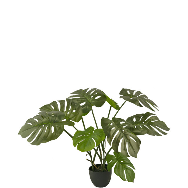 Hoyz Greenery kunst monstera 50 cm 2945845 large