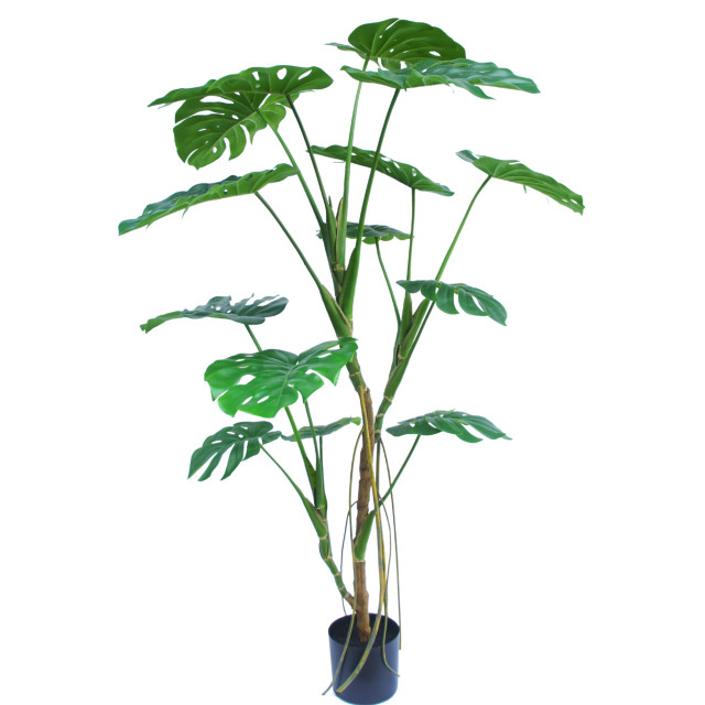 Hoyz Greenery kunstplant monstera 150 cm 2945802 large