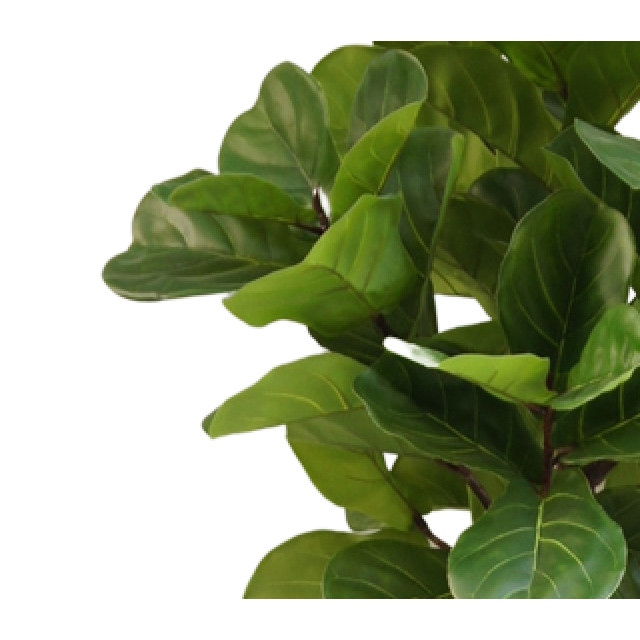 Hoyz Greenery kunstplant ficus tabaksplant 210 cm 2945713 large