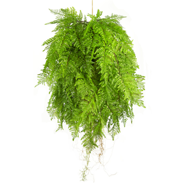 Hoyz Greenery kunst hangplant varen met wortels d80 cm met hangsysteem 2945861 large