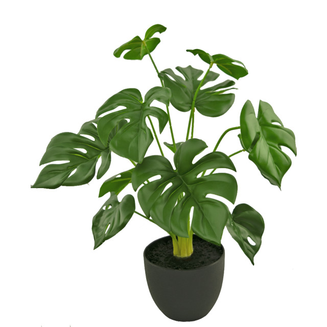 Hoyz Greenery kunst monstera 51 cm in sierpot zwart 2945846 large