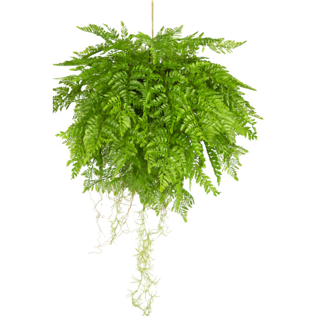 Hoyz Greenery kunst hangplant varen met wortels d55 cm met hangsysteem 2945852 large