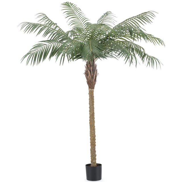 Hoyz Greenery kunstplant phoenix palm de luxe 180 cm 2945891 large