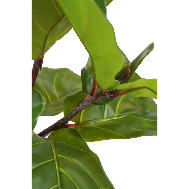 Hoyz Greenery kunstplant ficus tabaksplant 90 cm 2945587 large