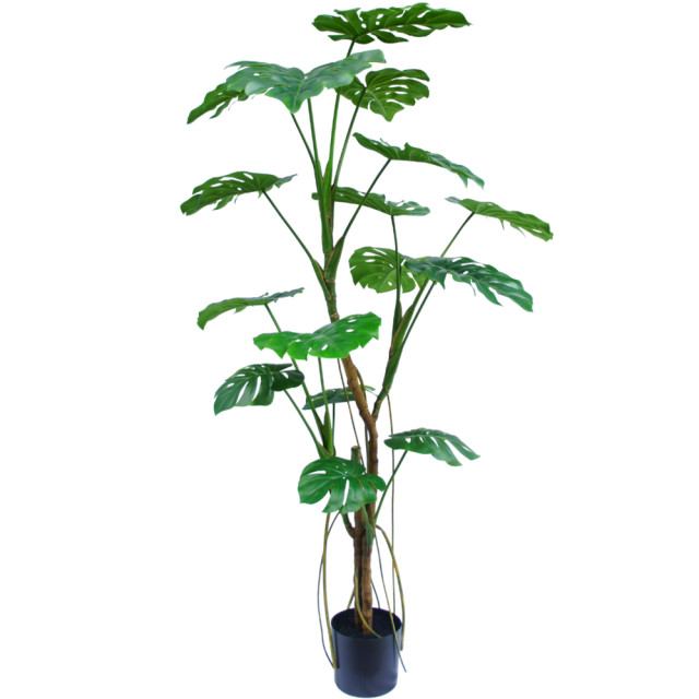 Hoyz Greenery kunstplant monstera 180 cm 2945599 large