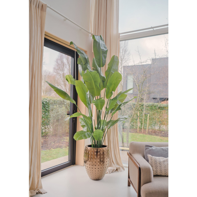 Hoyz Greenery kunstplant strelitzia nicolai 240 cm 2945619 large