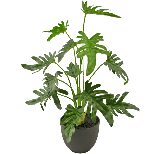 Hoyz Greenery kunst philodendron 49 cm 2945608 large