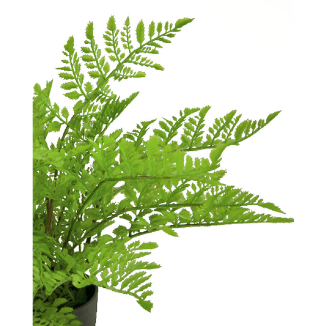 Hoyz Greenery kunst varen 35 cm in sierpot zwart 2945609 large