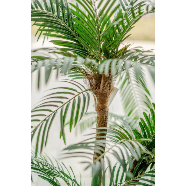 Hoyz Greenery cycas kunstpalm classic 135 cm 2945667 large