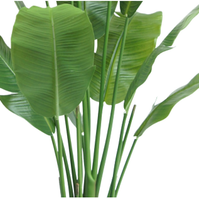 Hoyz Greenery kunstplant strelitzia nicolai 165 cm 2945691 large