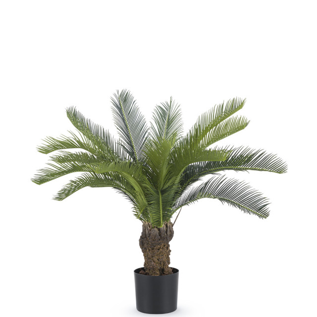 Hoyz Greenery kunstplant cycaspalm 80 cm 2945701 large