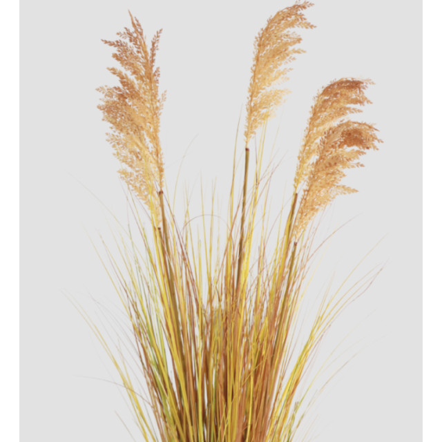 Hoyz Greenery kunst grasplant sorghum 110 cm 2945779 large