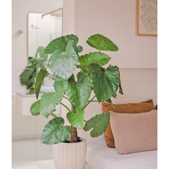 Hoyz Greenery kunstplant alocasia 120 cm 2945839 large